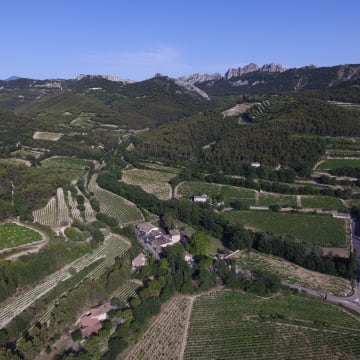 Château de Saint Cosme