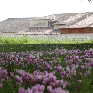 Château d'Aiguilhe