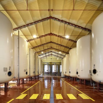 Sala de elaboración
