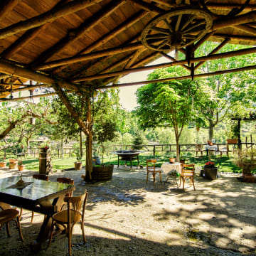 The external area where the garden meets the vineyards