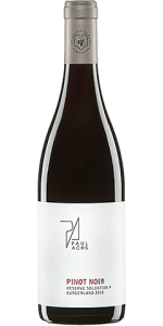 Pinot Noir Selektion P 2020