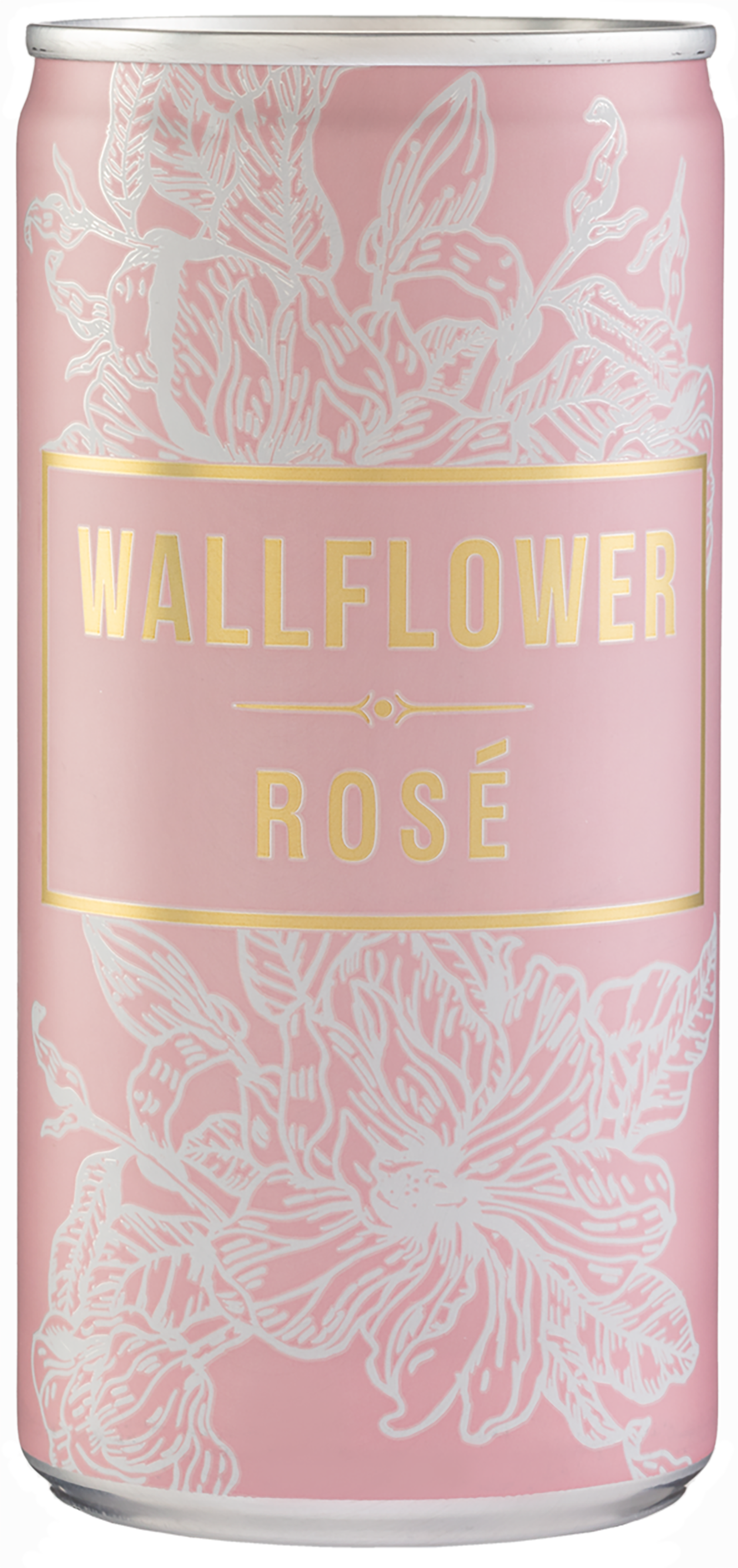 Image Wallflower Rose (can) NV