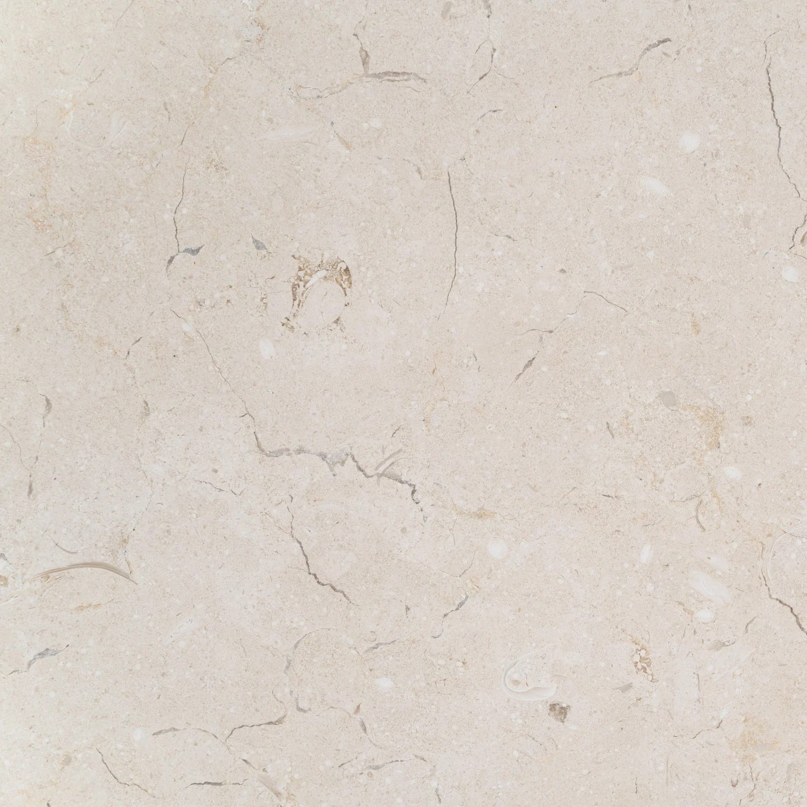 Hudson Cream Ivory Limestone Boutique Stone