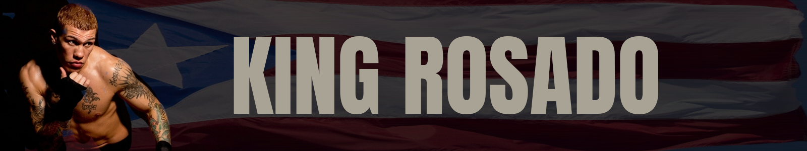 profile-banner