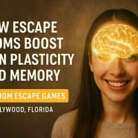 How Escape Rooms Boost Brain Plasticity and Memory