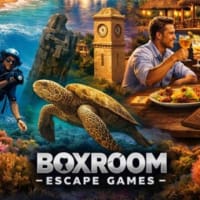 Unique Things to Do in Hollywood Florida