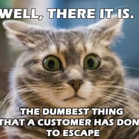 The Dumbest Thing that a Customer Has Done to Escape