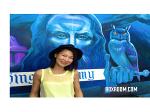 MERLIN'S WIZARDING ACADEMY 2017-12-1 223