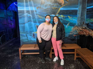 HAUNTED PIRATE SHIPWRECK 2020-12-9 1468