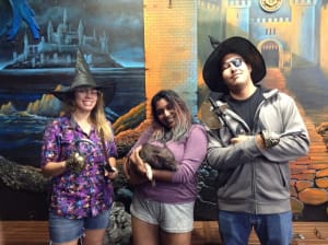 MERLIN'S WIZARDING ACADEMY 2018-4-22 799