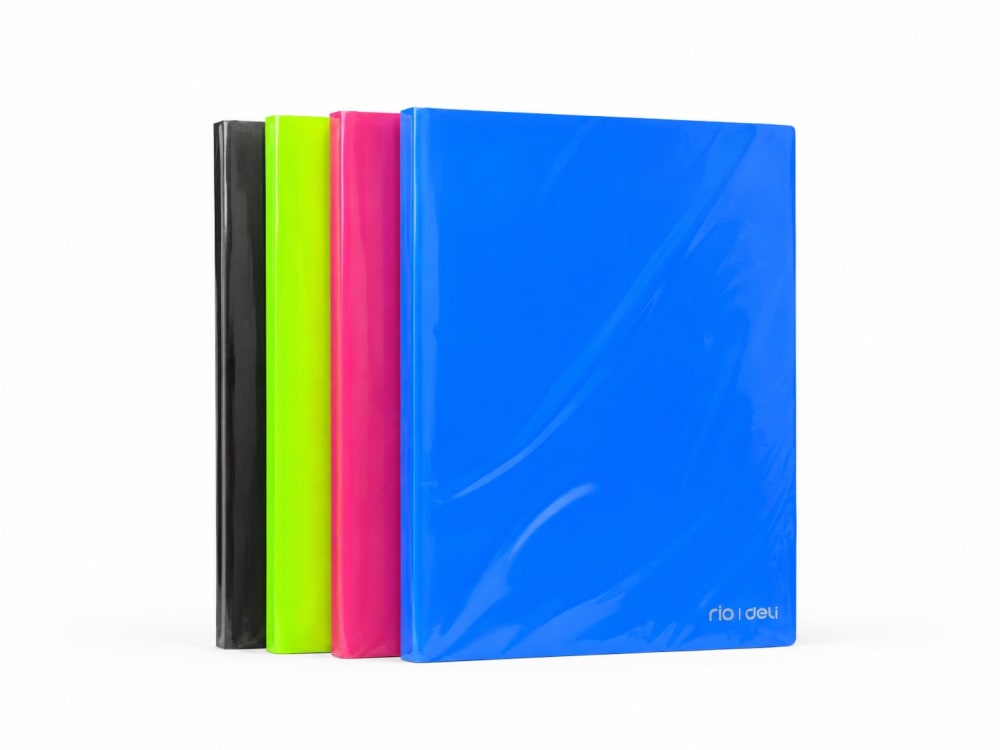 PORTE FICHES A4 100 POCHETTE 200 VUES ROI DELI B01002 — vert