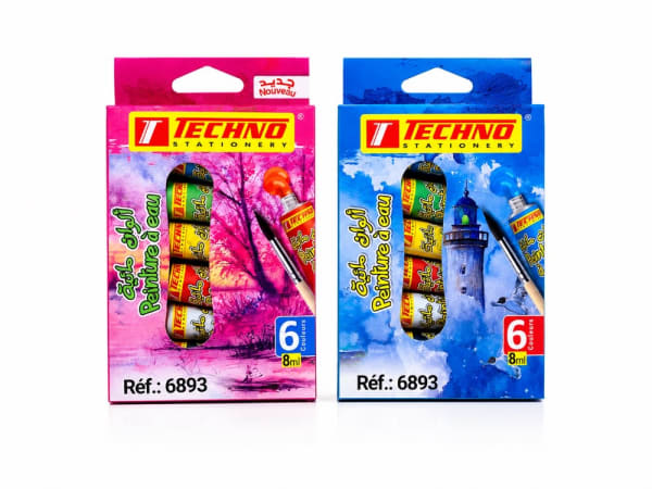 PEINTURE A EAU DE 06 COULEURS 6893
