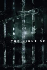 The Night Of (2016) poster