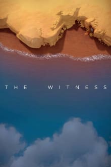 The Witness (2016) box art
