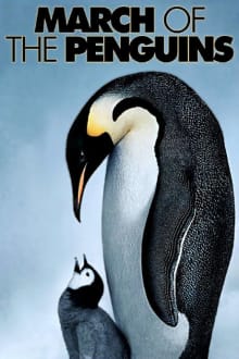 March of the Penguins (2005) poster
