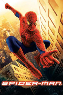 SpiderMan (2002) poster