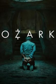 Ozark (2017) poster