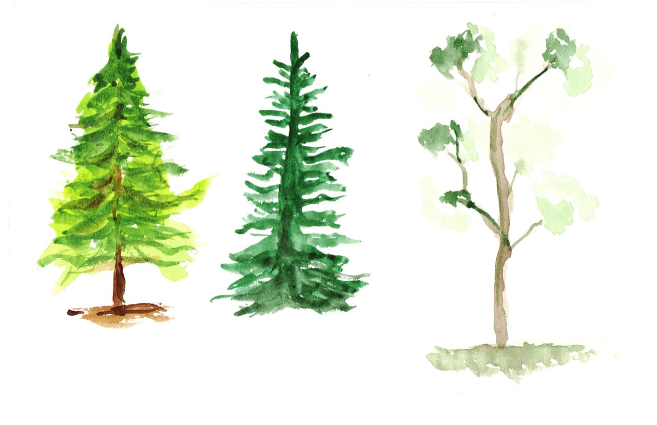 Three Trees (study)