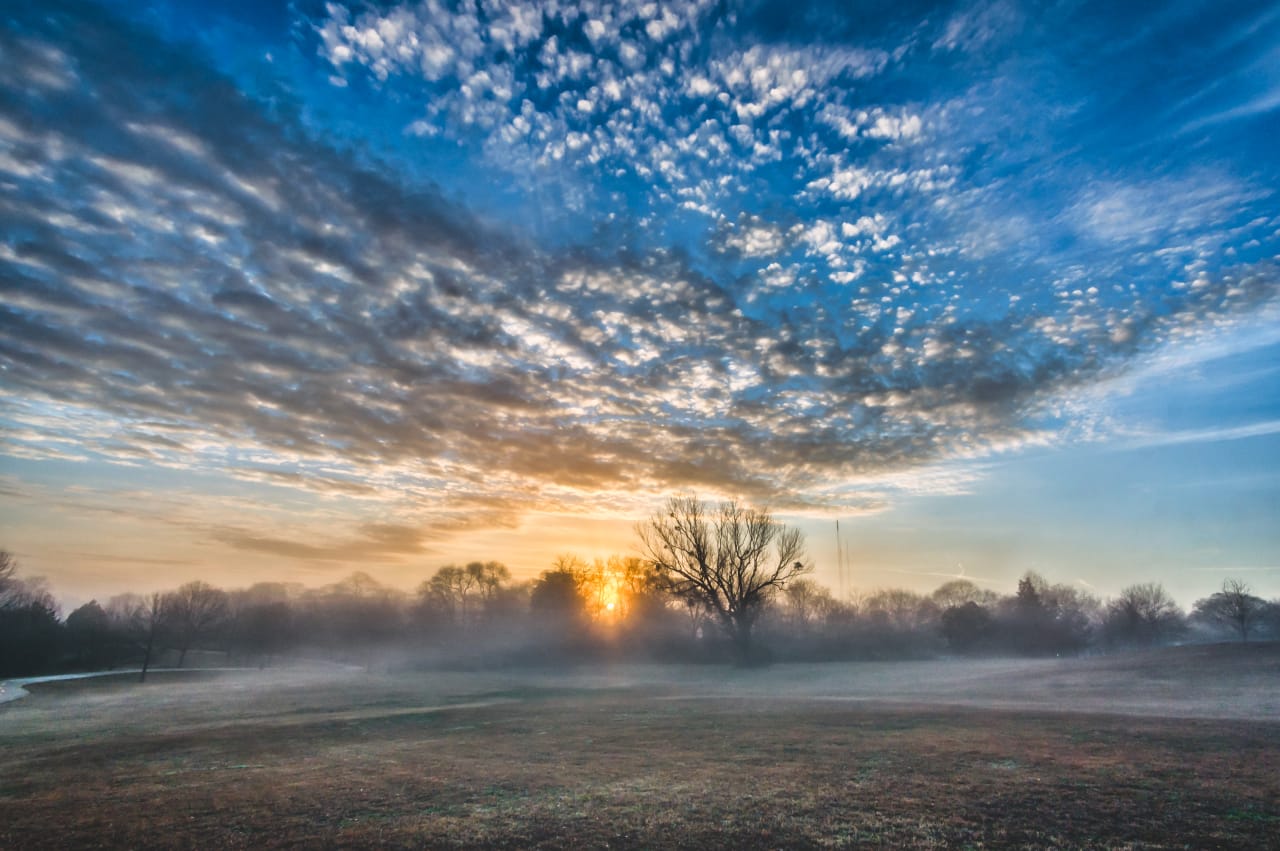 Foggy Opener