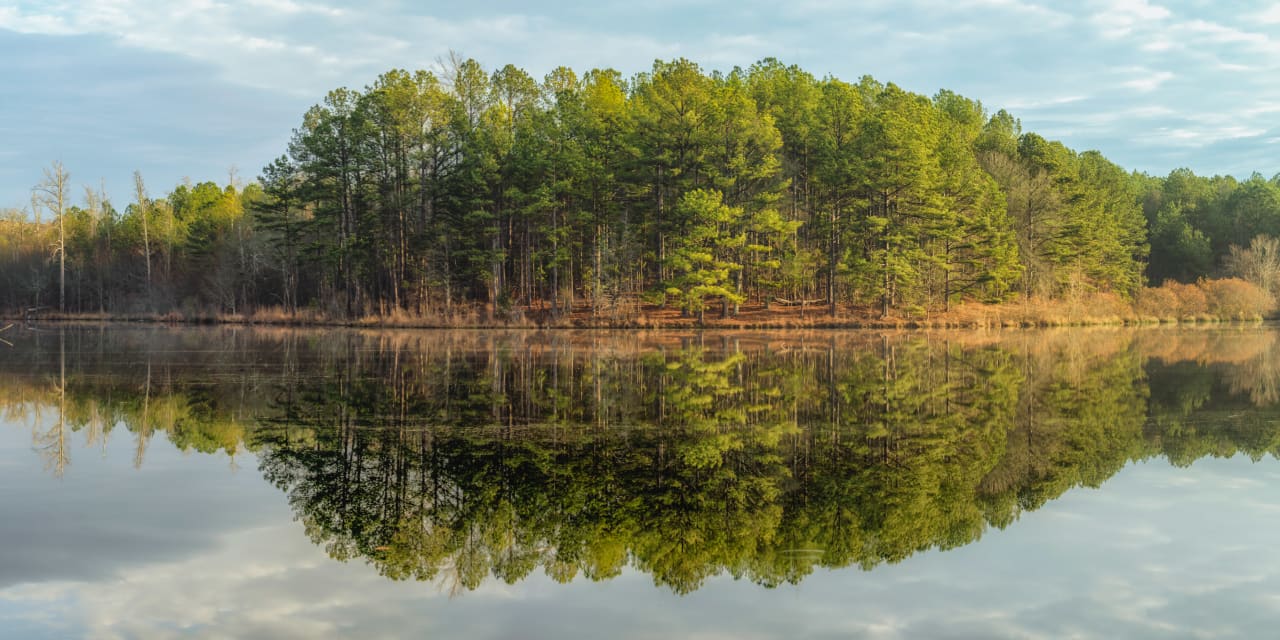Arabia Mountain Lake