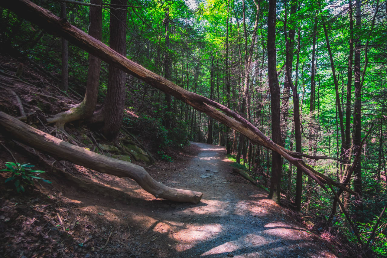 Down to Dukes Creek Falls