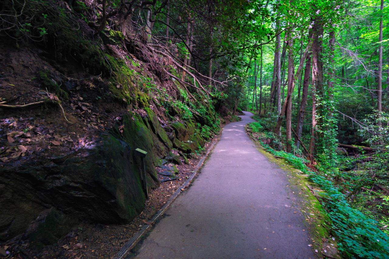 Anna Ruby Falls Trail