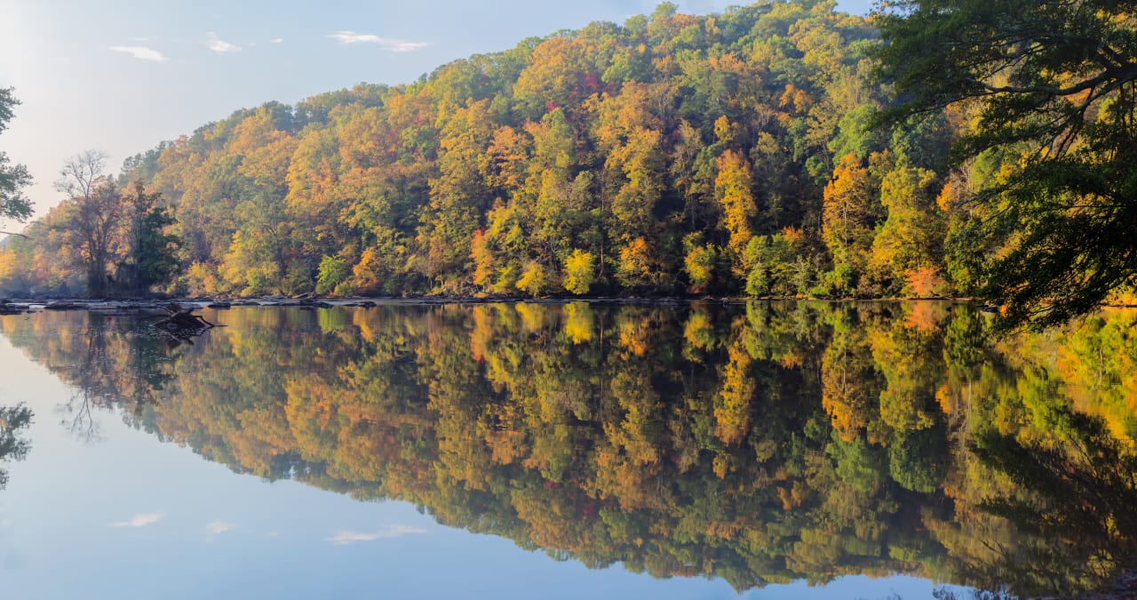 Palisades Turning Gold