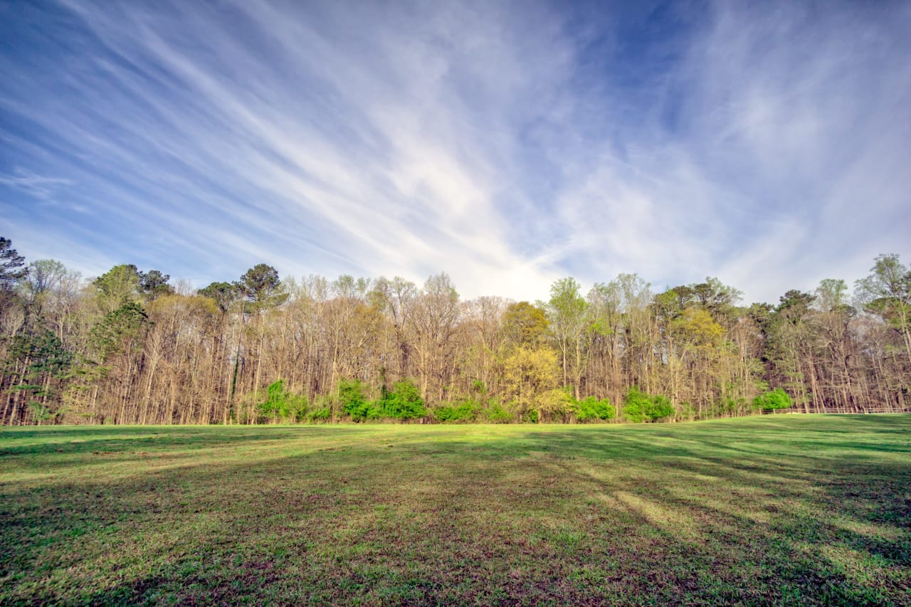 Blue Sky Green Field