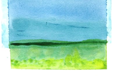 Meadow Landscape
