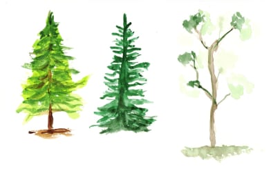 Three Trees (study)