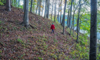 Lake Issaqueena Trail