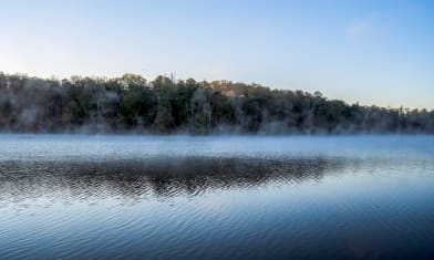 Lake Issaqueena morning fog 3