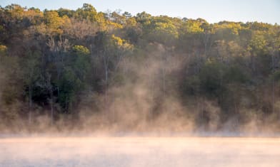 Lake Issaqueena morning fog 2