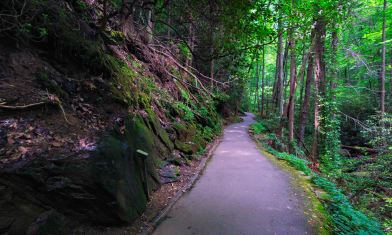 Anna Ruby Falls Trail
