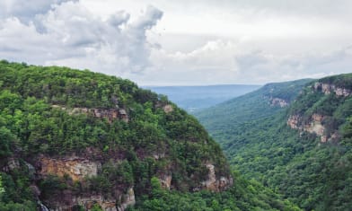Cloudland Canyon