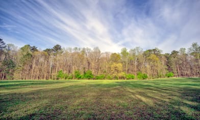 Blue Sky Green Field
