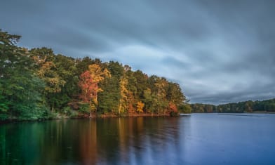 Keeping Pace with Orange 