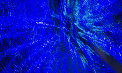 Cerulean Net