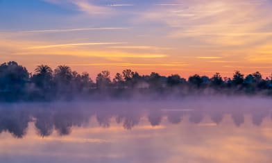 Morning Reflection in Ocala