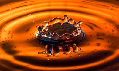 Crown in Amber
