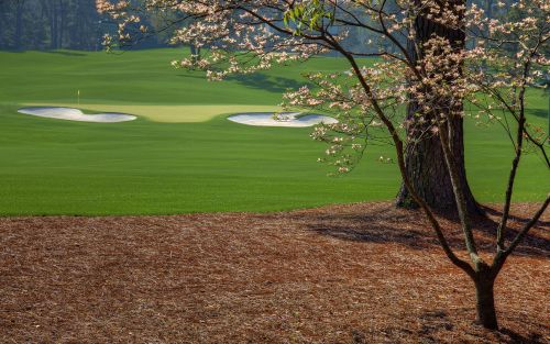 Pink Dogwood #2 hole at Augusta National Golf Club