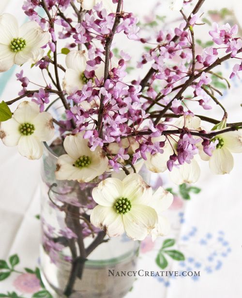 white and purple flowers are blooming off the tree twigs