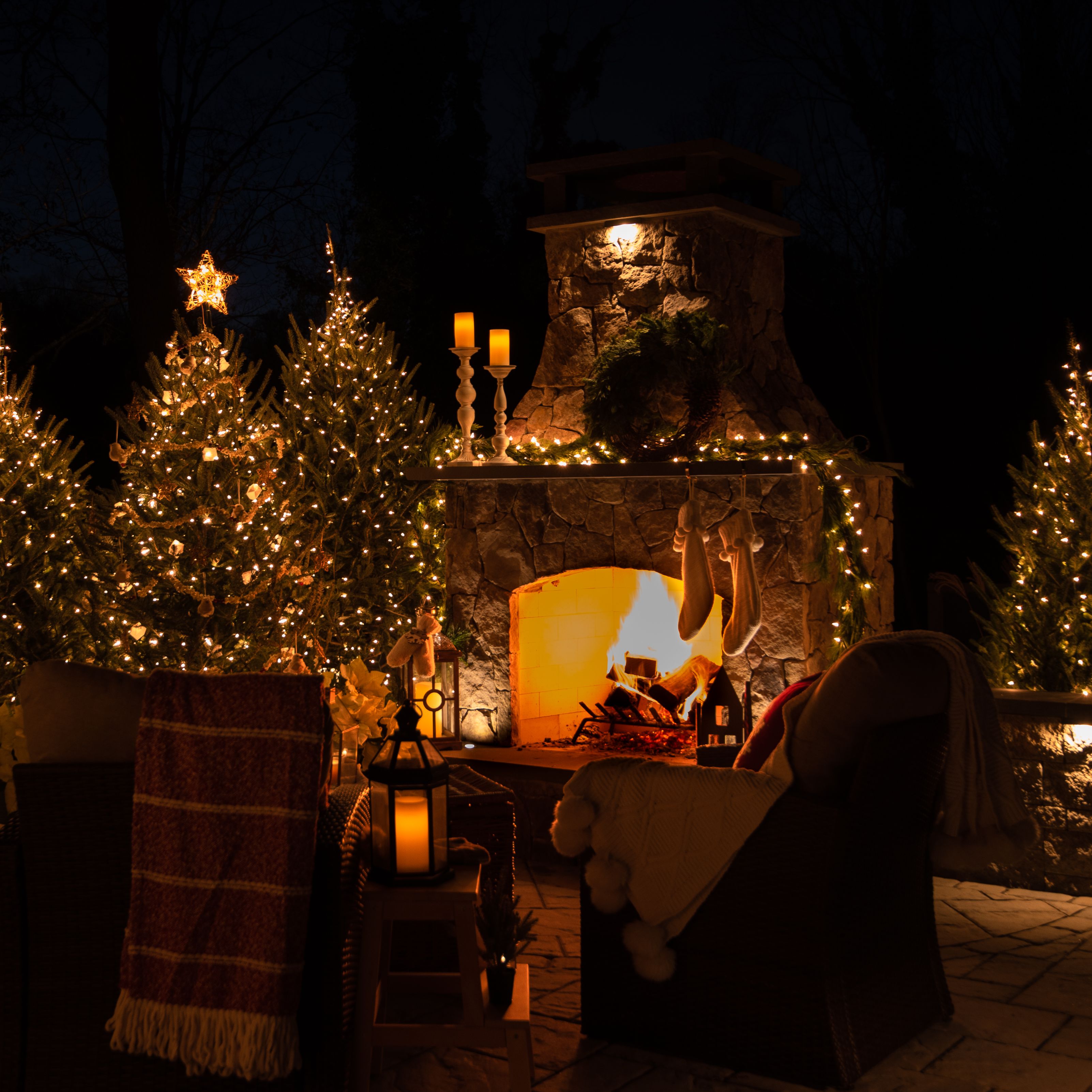 Home for the Holidays