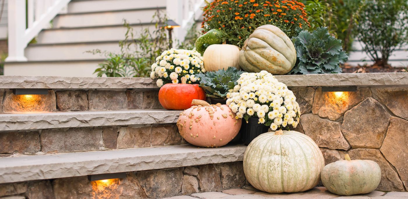 The Ultimate Pumpkin Identification Guide