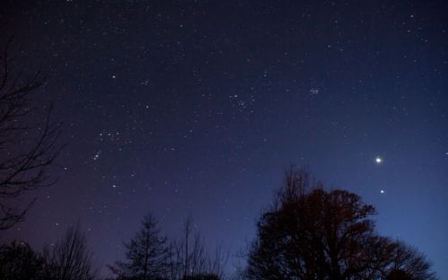 dark blue winter night sky full of stars