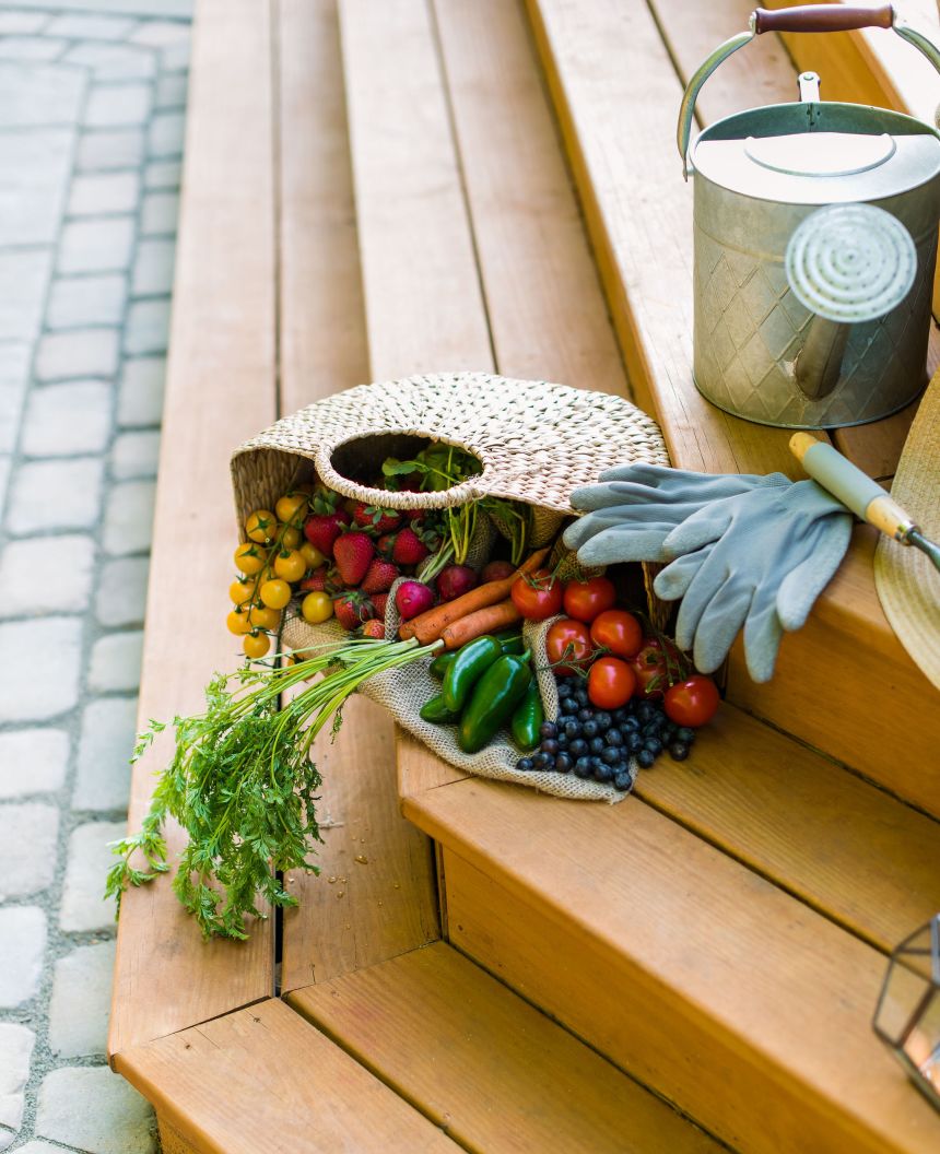 a basket full of freshly harvested fruits and vegetables, gardening gloves and water container all laid on backyard deck steps