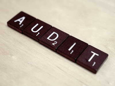 PMP Audit Process - A Step-by-Step Guide and FAQs