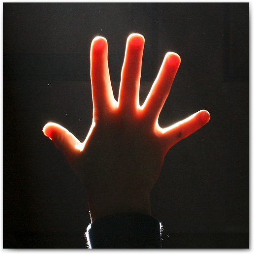 Top 5 Reasons People Fail the PMP Exam
