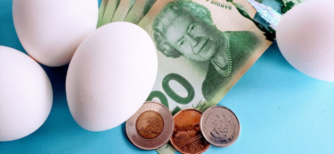 Eggs and Money BST Insurance