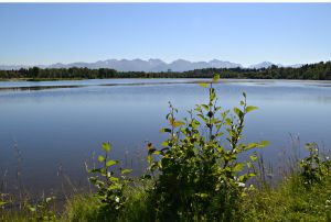 Worchester Lagoon